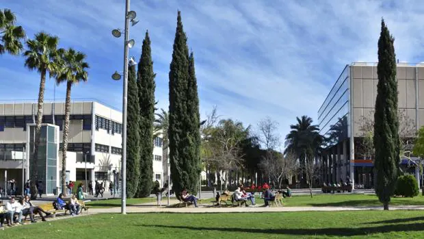 Imagen del jardín de la Universidad Politécnica de Valencia