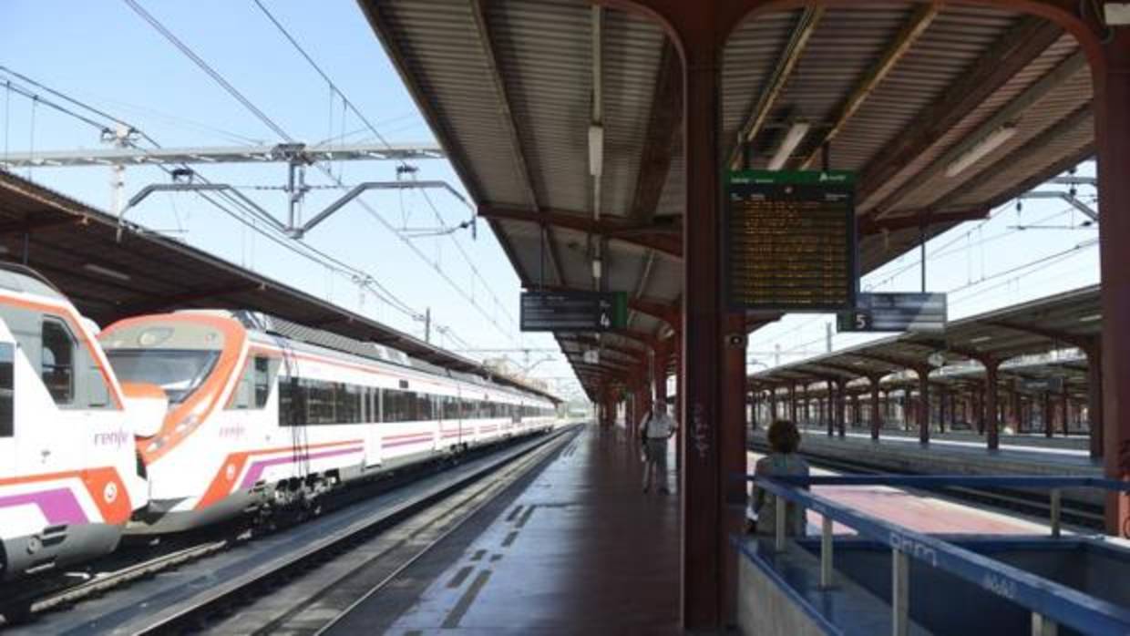 Varios trenes en la estación de Cercanías de Madrid