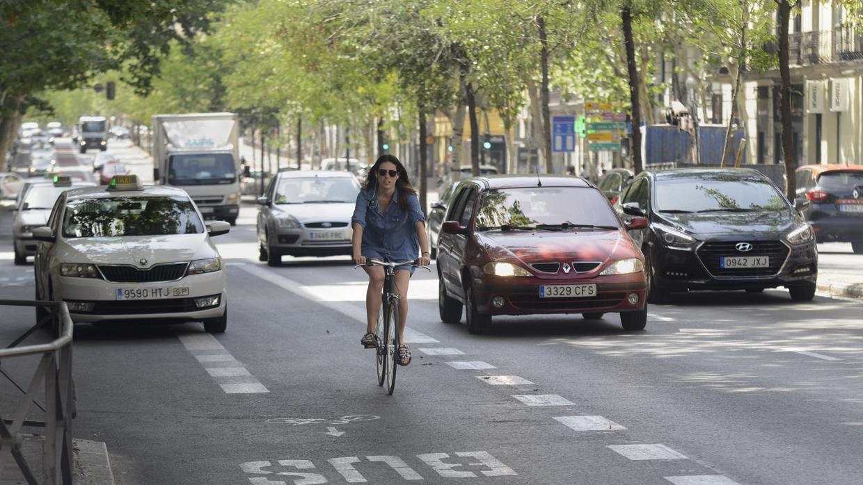 Una ciclista circula por el carril bus/taxi, en la calle de Sagasta