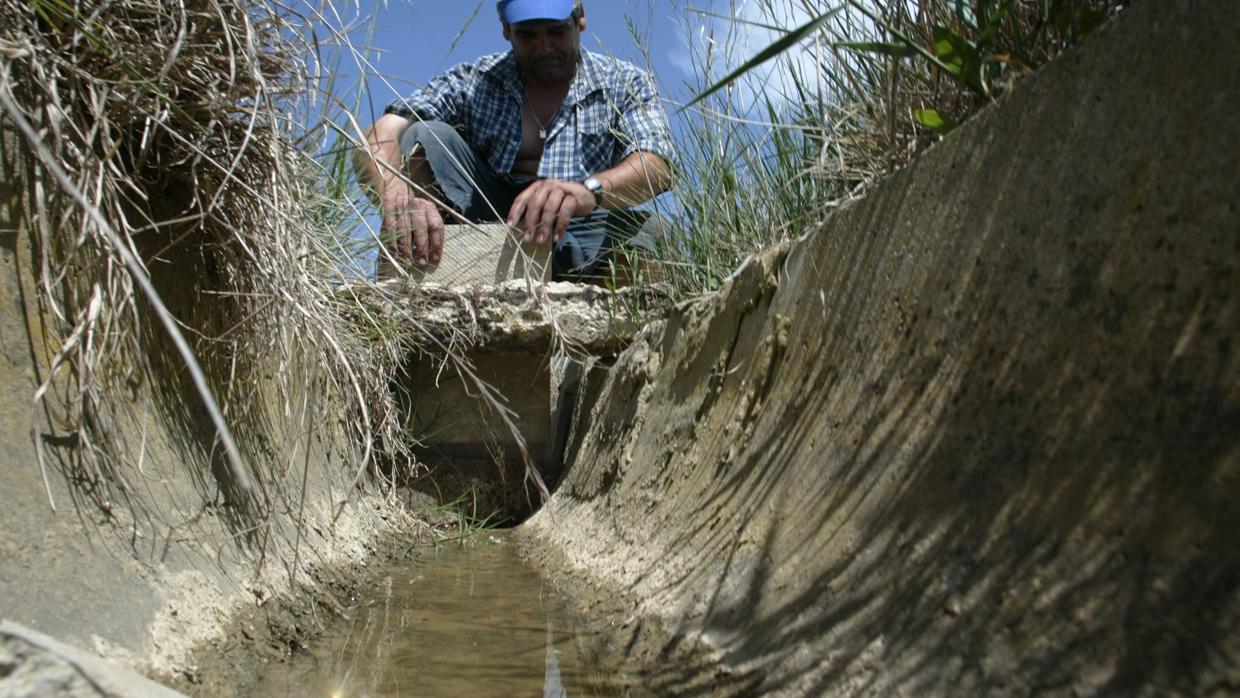 Regadíos en serios apuros por falta de agua