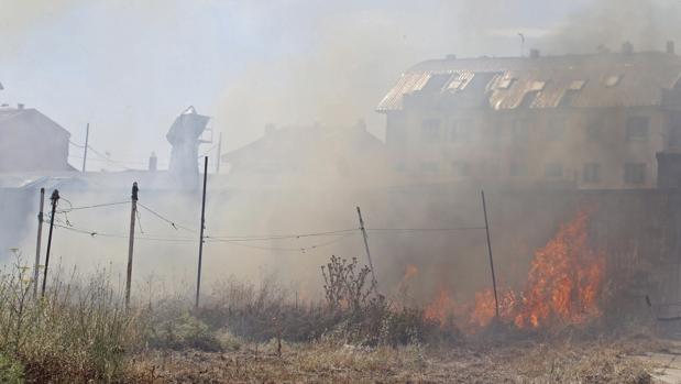 Extinguido el incendio de Aznalcóllar tras arrasar 12 hectáreas de matorral y arbolado