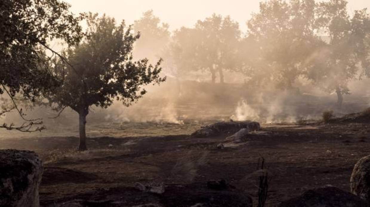 Incendio registrado en Aldeadávila de la Ribera (Salamanca)