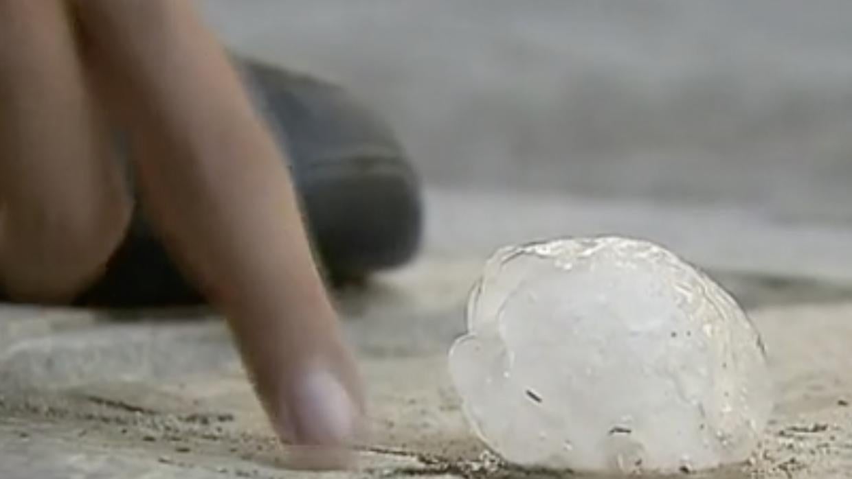 El granizo que descargó el domingo superó el tamaño de una pelota de golf,