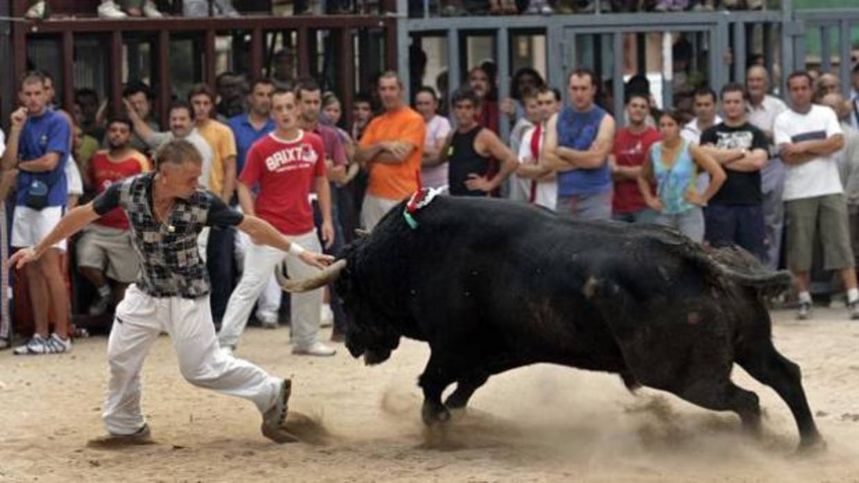 Fiesta de «Bous al Carrer» en la Comunidad Valenciana, en imagen de archivo