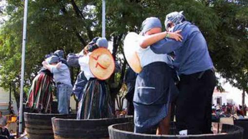 Imagen de la fiesta de la vendimia en Requena