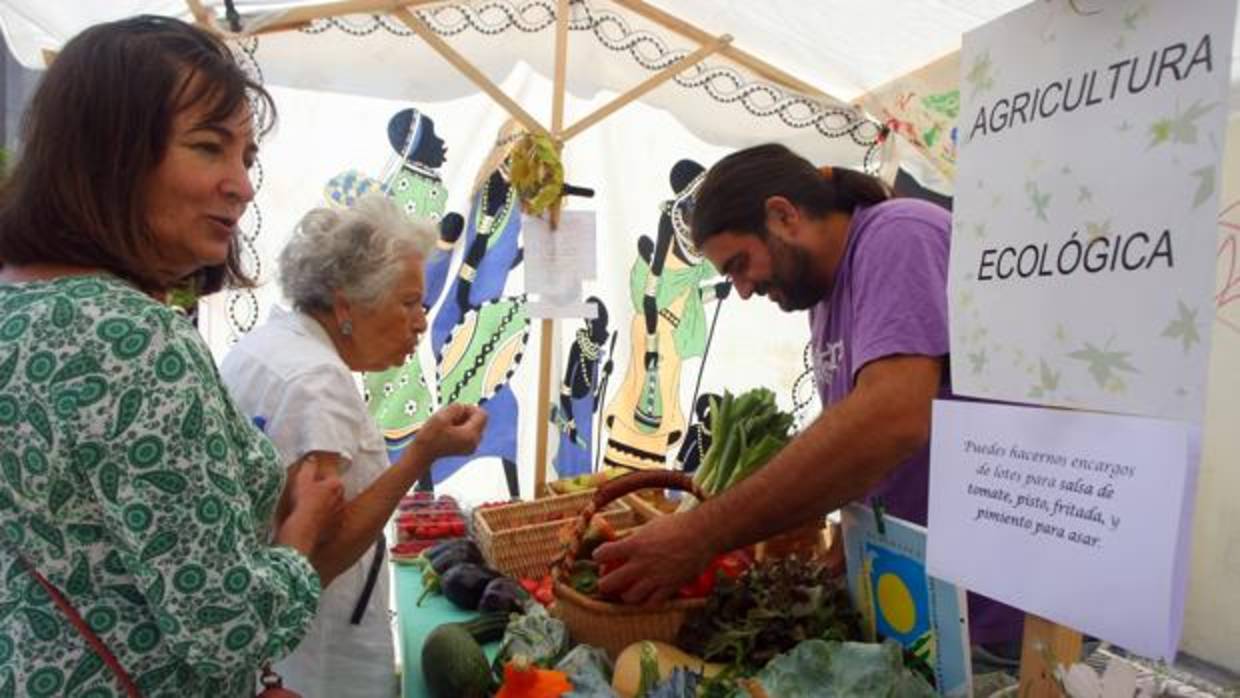 Puesto de agricutura ecológica