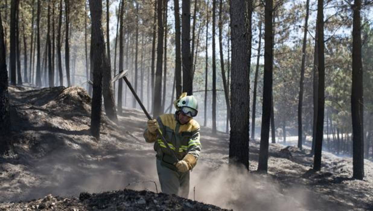 Un brigadista trabaja en la extinción del incendio de Vilamaior