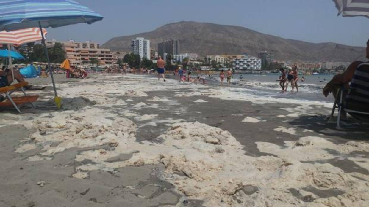 Algas secas con, presuntamente, aguas fecales en Playa de Los Cristianos, Tenerife, este jueves