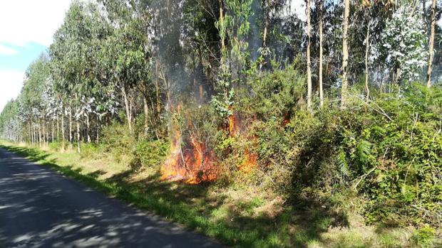 Detenido un vecino de Mesía como autor de 28 incendios forestales