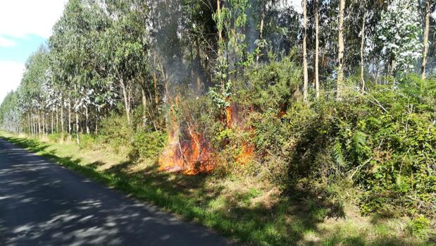 Detenidos tres presuntos autores de más de 40 fuegos forestales