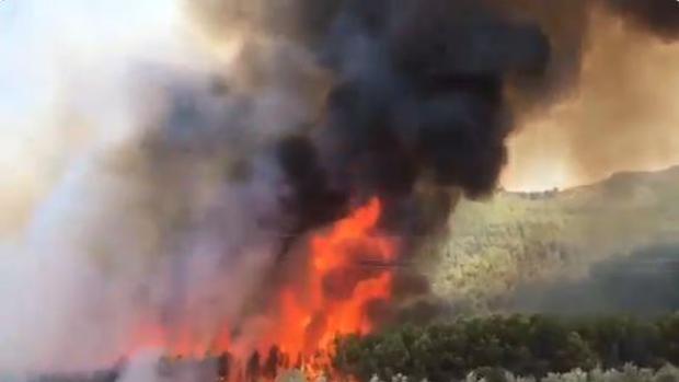 Desalojadas varias viviendas y un restaurante por un incendio en un pinar en Jaén