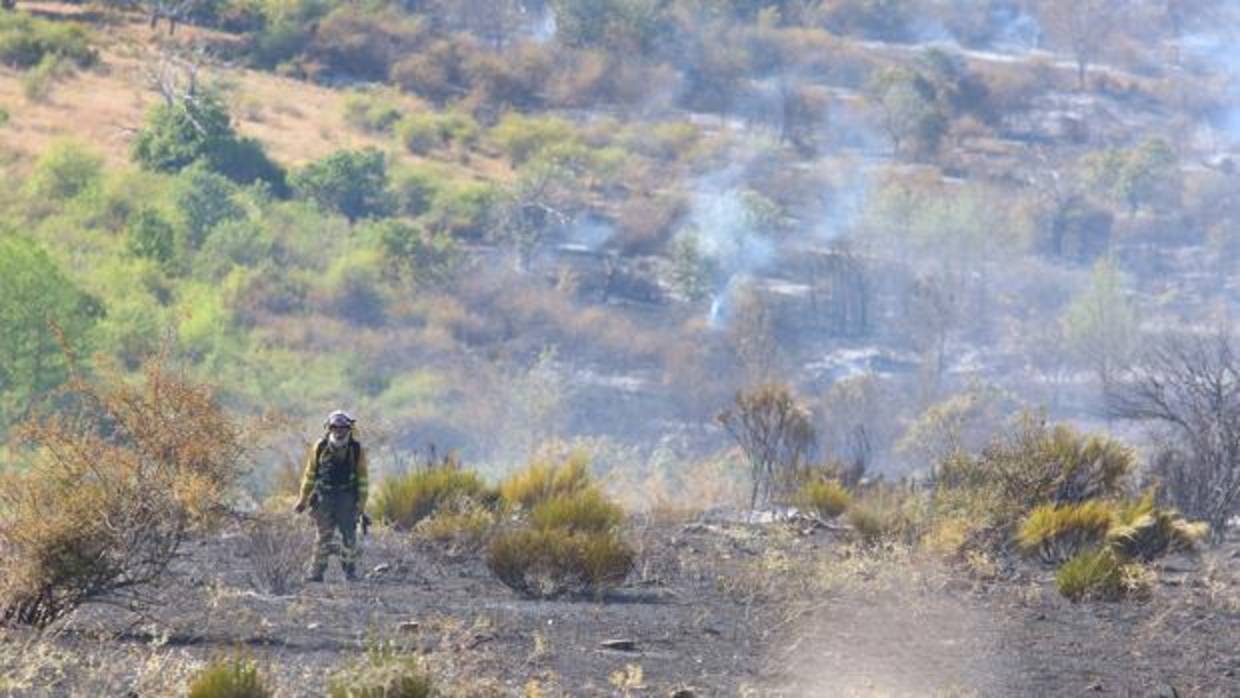 Incendio en la localidad de Borrenes (León)