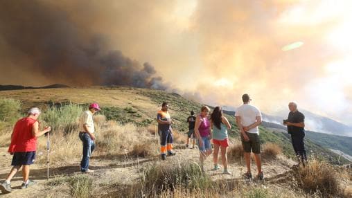 La Junta eleva a 8.000 las hectáreas calcinadas por el fuego intencionado de Encinedo (León)
