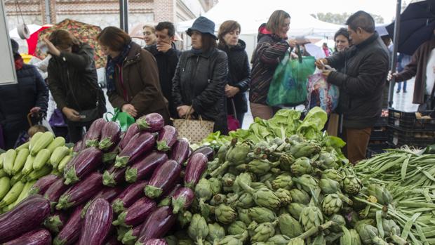 La venta de productos ecológicos se multiplica por 248 en 20 años