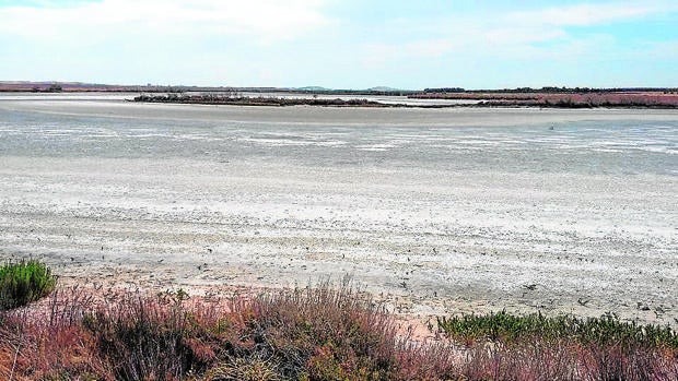 El agua de las Lagunas de Villafranca desciende hasta niveles mínimos