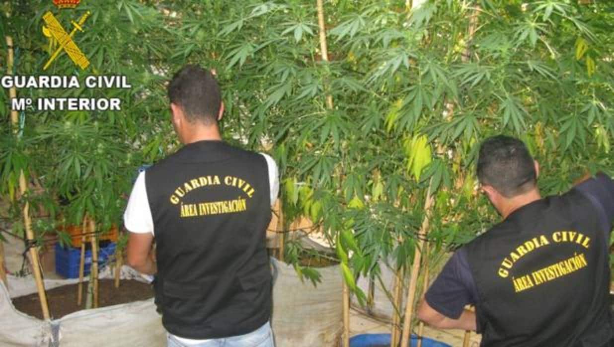 Imagen de dos agentes de la Guardia Civil con la marihuana incautada