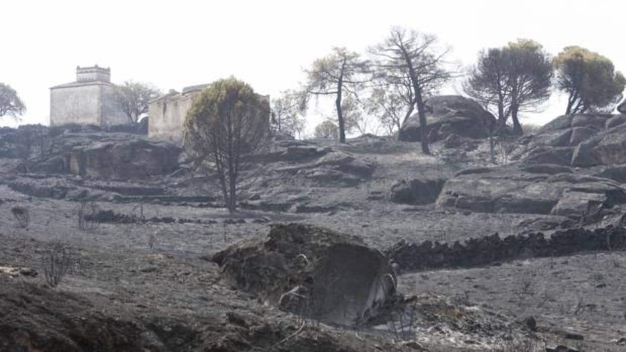 Estado en el que ha quedado la zona tras el incendio de Fermoselle, que ha arrasado 2.000 hectáreas