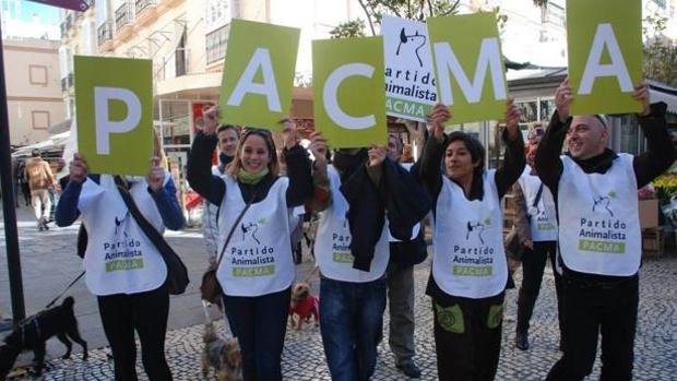 El PACMA denuncia el incumplimiento de la ley de protección animal en Valencia