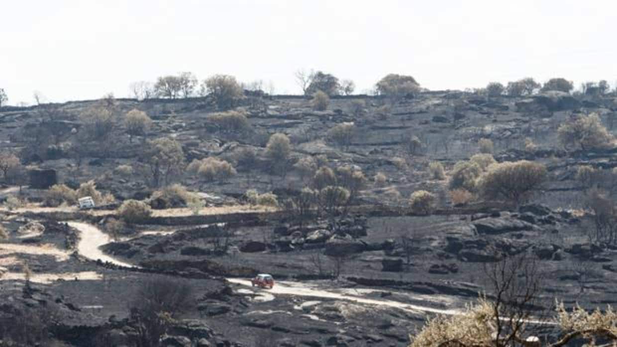 Paisaje desolado tras el paso del fuego en la localidad zamorana de Fermoselle