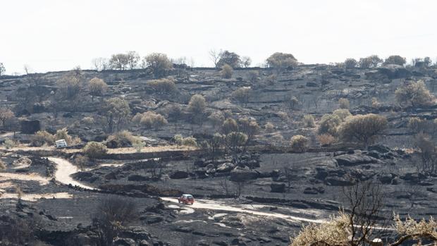 Fermoselle: zona cero