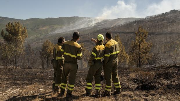 El fuego arrasó en lo que va de año 600 hectáreas menos que en 2016