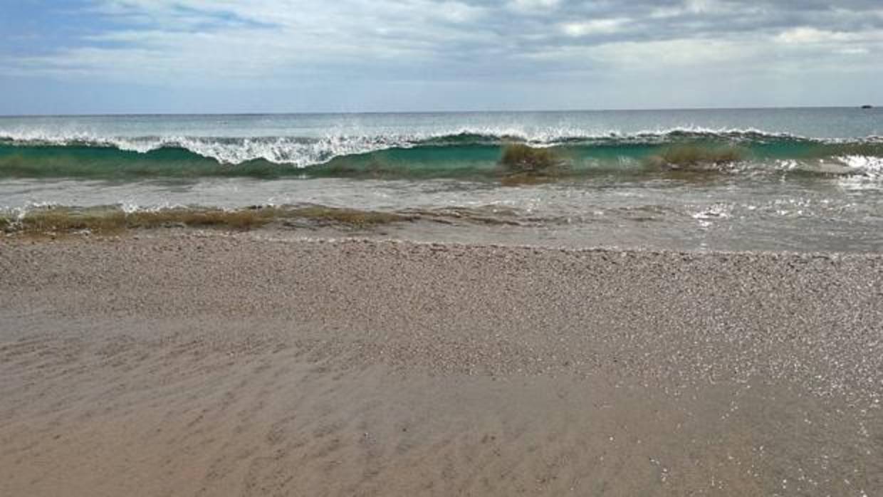 Playa de Tejita, en El Médano