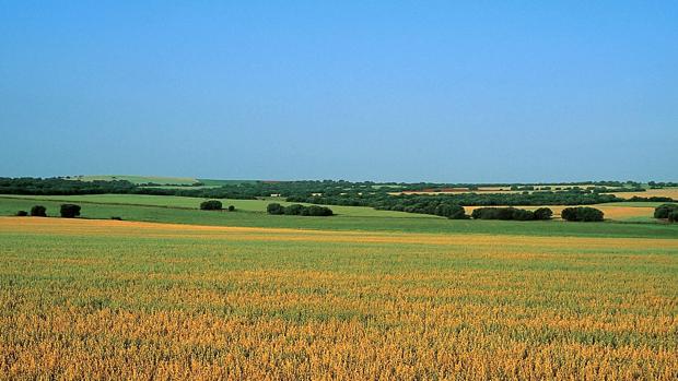 Tierras raras, bajo la lupa en Castilla-La Mancha