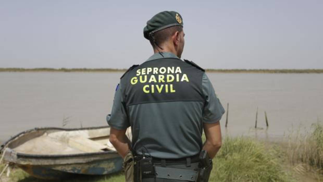 Agente del Seprona