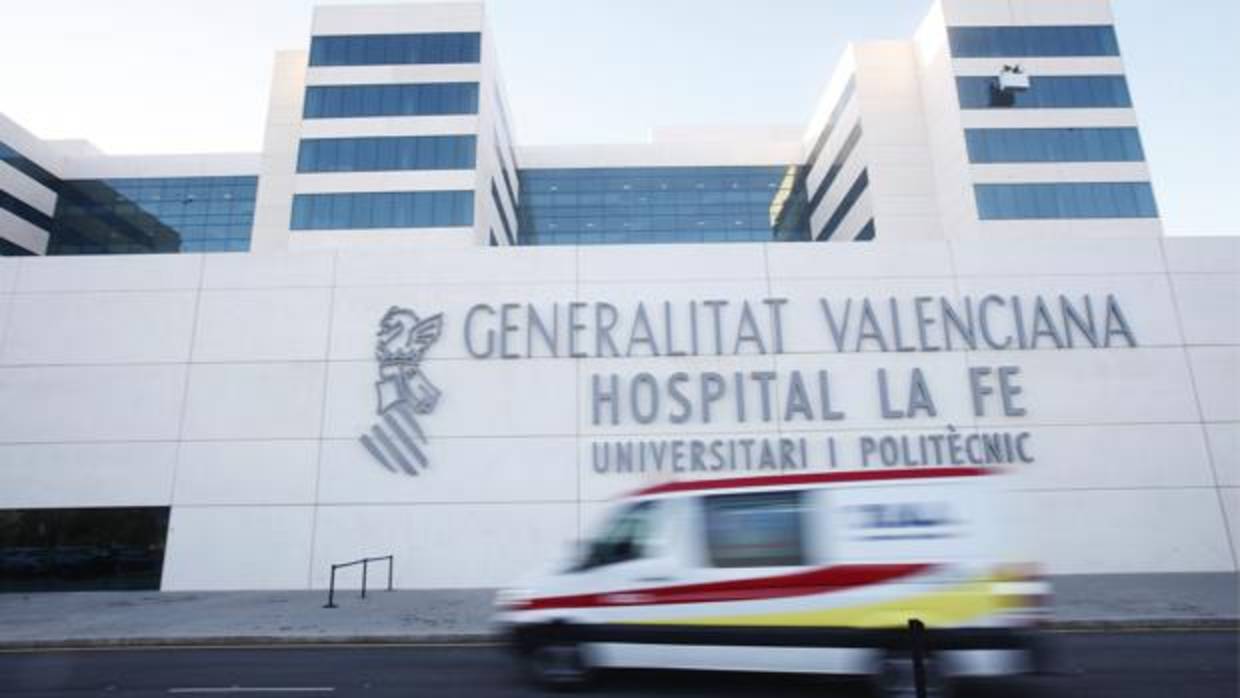 Imagen de la cabra en el hospital La Fe de Valencia