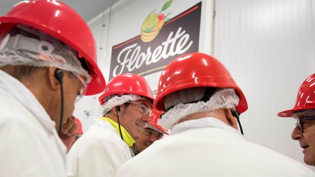 Florette producirá en Canarias 12 millones de ensaladas