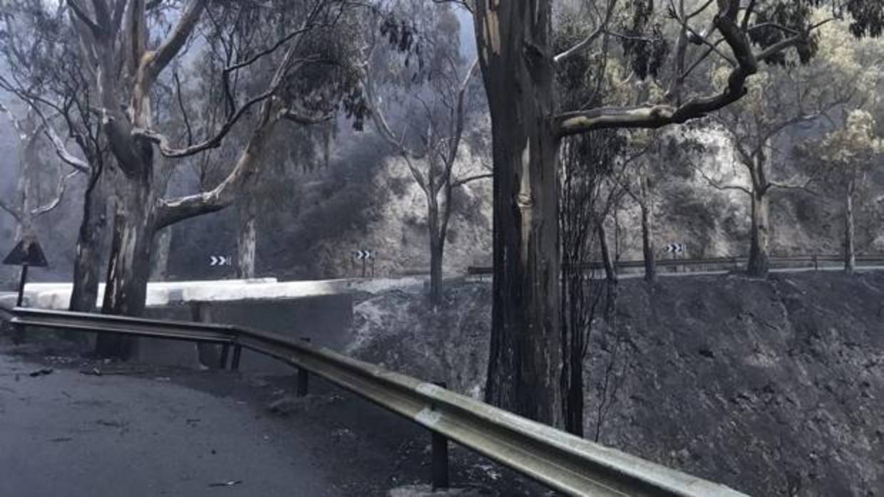 El Seprona investiga el origen del fuego de Tejeda, Gran Canaria