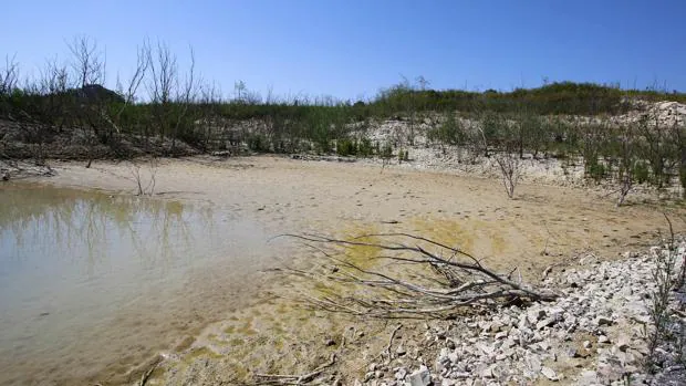 El Júcar y el Segura: dos cuencas en alerta por la sequía desde mayo de 2015