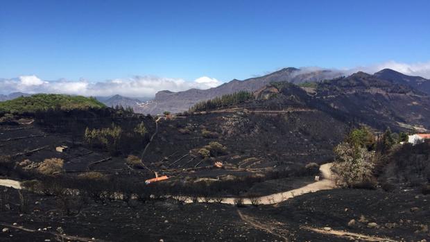 Queda liquidar el fuego de la cumbre de Gran Canaria y conocer su origen