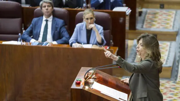 Engracia Hidalgo, consejera de Economía, en la Asamblea de Madrid