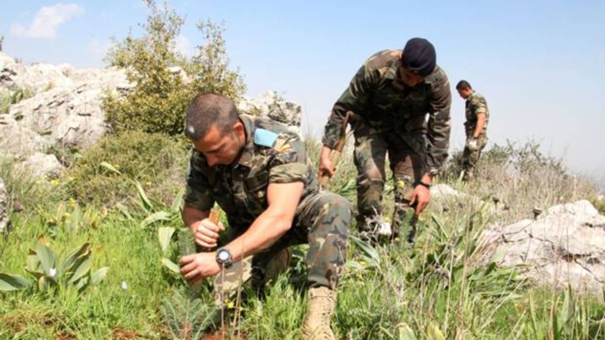 El Ejército reforesta Canarias