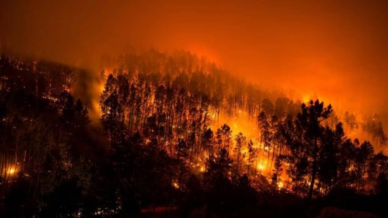 Incendio forestal en el municipio orensano de Lobios