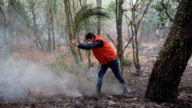 Los incendiarios y el abandono del medio rural, principales causas según los expertos