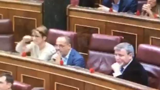 Una diputada independentista le hace un corte de mangas a Toni Cantó en el Congreso