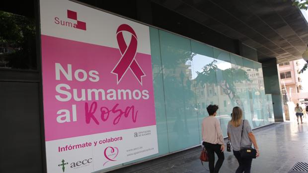 Suma se apunta al Rosa