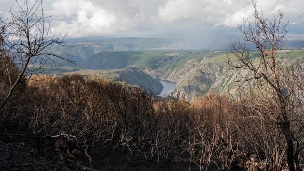 Un único incendio, ubicado en Cervantes, sigue pendiente de extinción