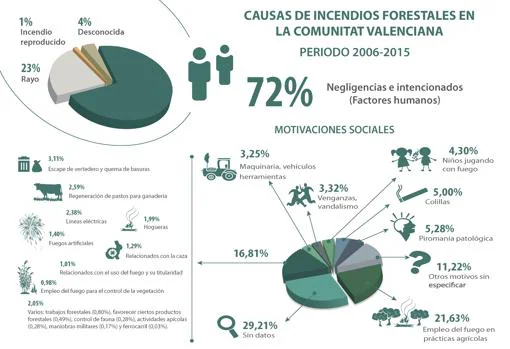 Imagen de la gráfica de causas de incendios forestales