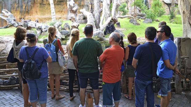 Bioparc Valencia celebra este sábado el Día del Docente