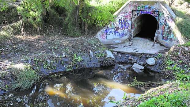 Un vertido ilegal de aguas fecales contamina un parque de Aravaca