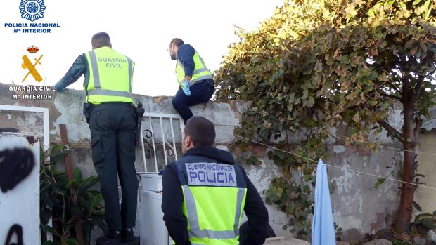 Dos detenidos en Grañén (Huesca) por plantar marihuana en sus casas
