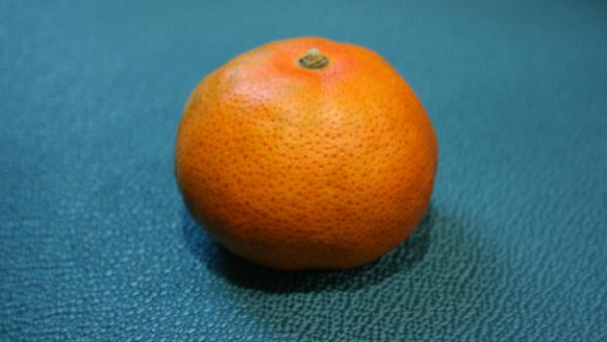 Mandarina de la variedad «Early pride»