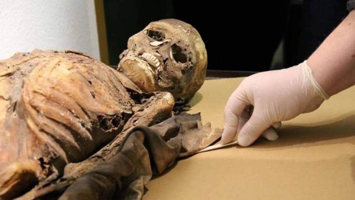 Los estómagos de las momias canarias y egipcias revelan la evolución humana