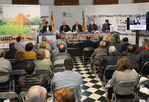 Rueda de prensa sobre el arroz bomba, con representantes de la Diputación, Asaja, Pego y el cocinero Kiko Moya