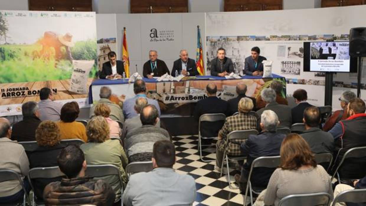 Degustación de arroz bomba en los jardines del Palacio Provincial de Alicante, este martes