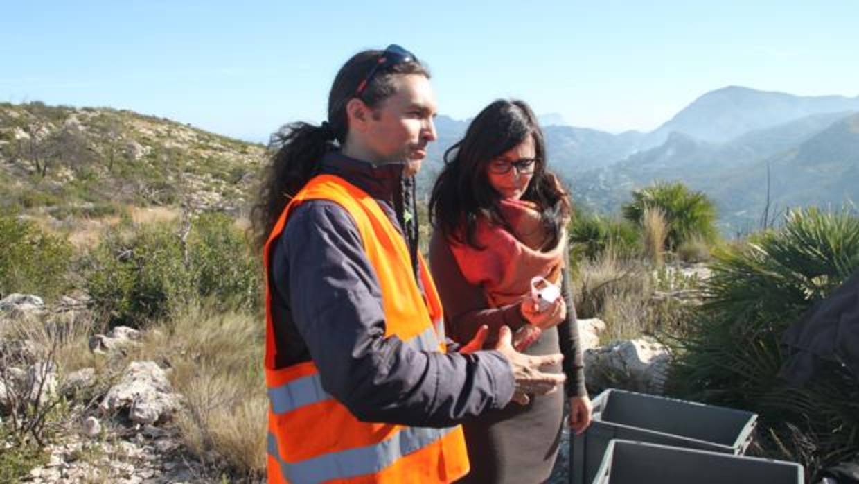 Visita a un paraje de la reforestación en Pego