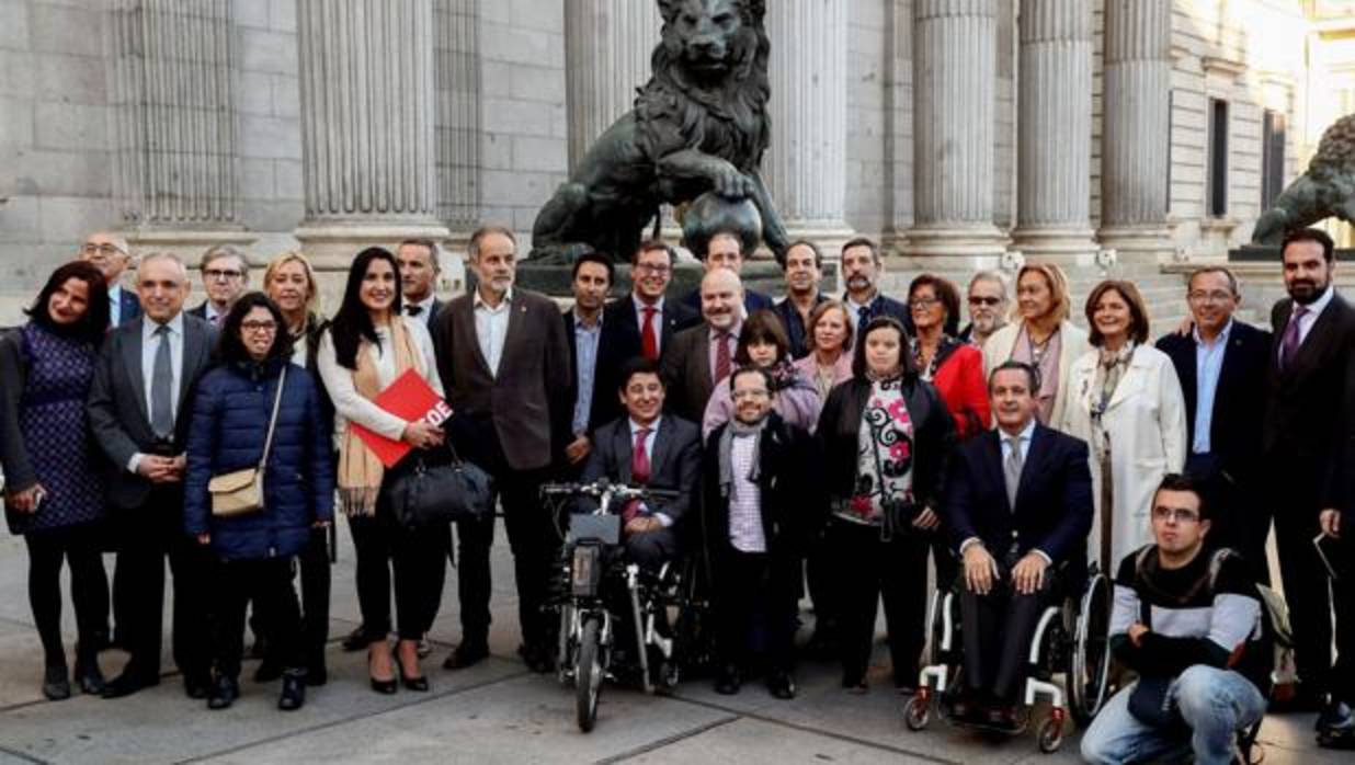 Después de que el Congreso votara por unanimidad la necesidad de reformar la ley electoral, diputados de la Cámara Baja y representantes de colectivos de discapacidad celebraron la conquista con una foto